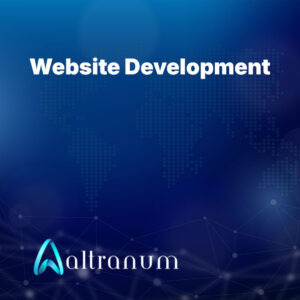 Website Development - Standard Package